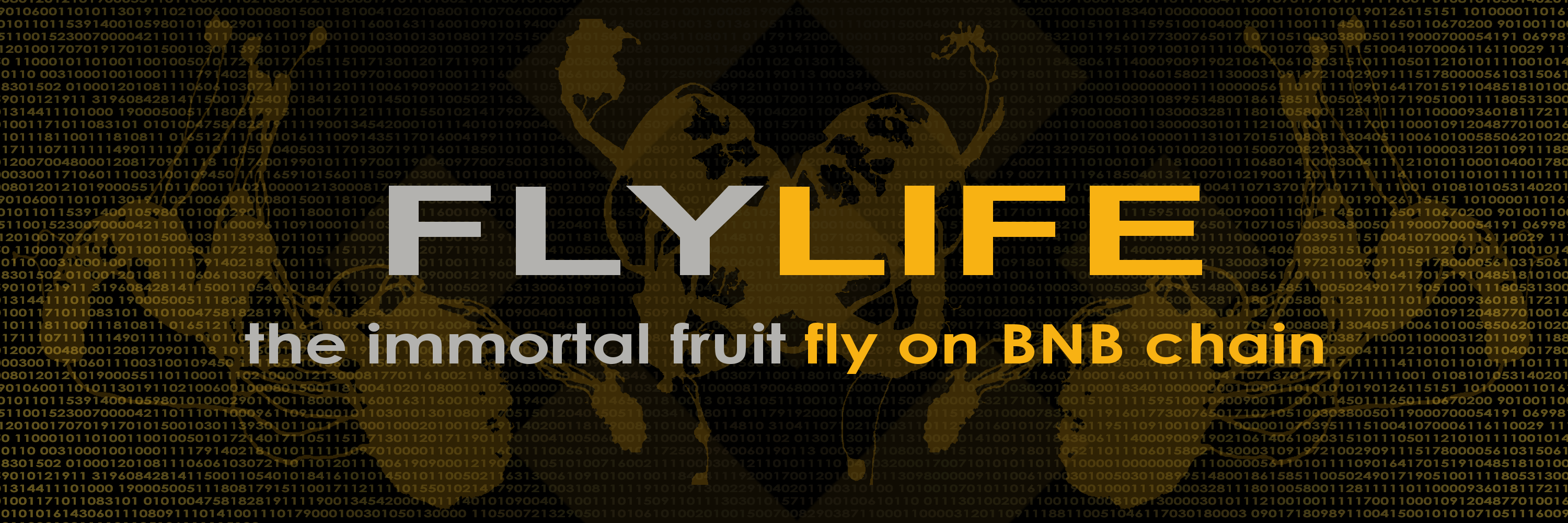 FLYLIFE Banner